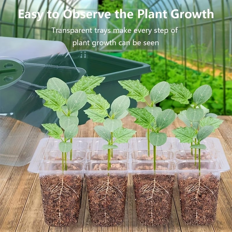 Kit di Germinazione con 3 Vass - Dome Propagation Kit recensione e prezzo
