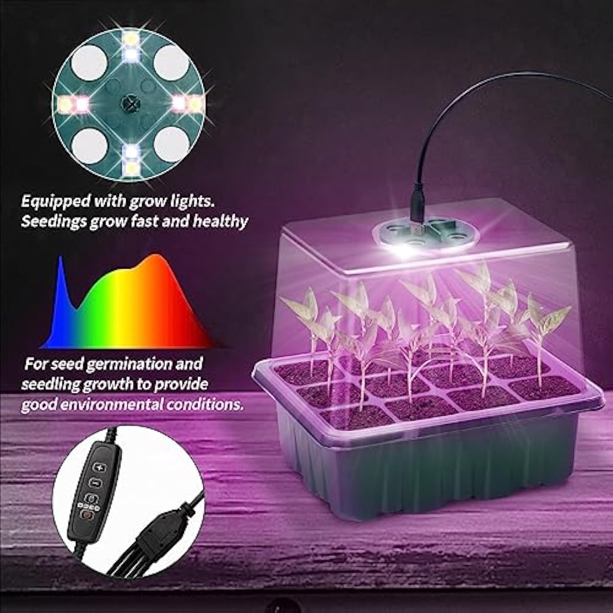 Kit per la Propagazione dei Se - Dome Propagation Kit recensione e prezzo