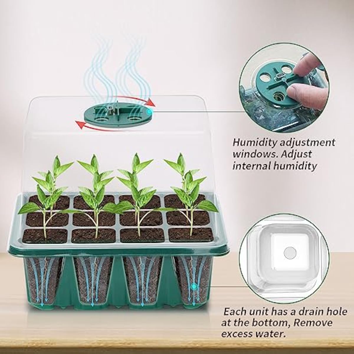 Kit per la Propagazione dei Se - Dome Propagation Kit recensione e prezzo