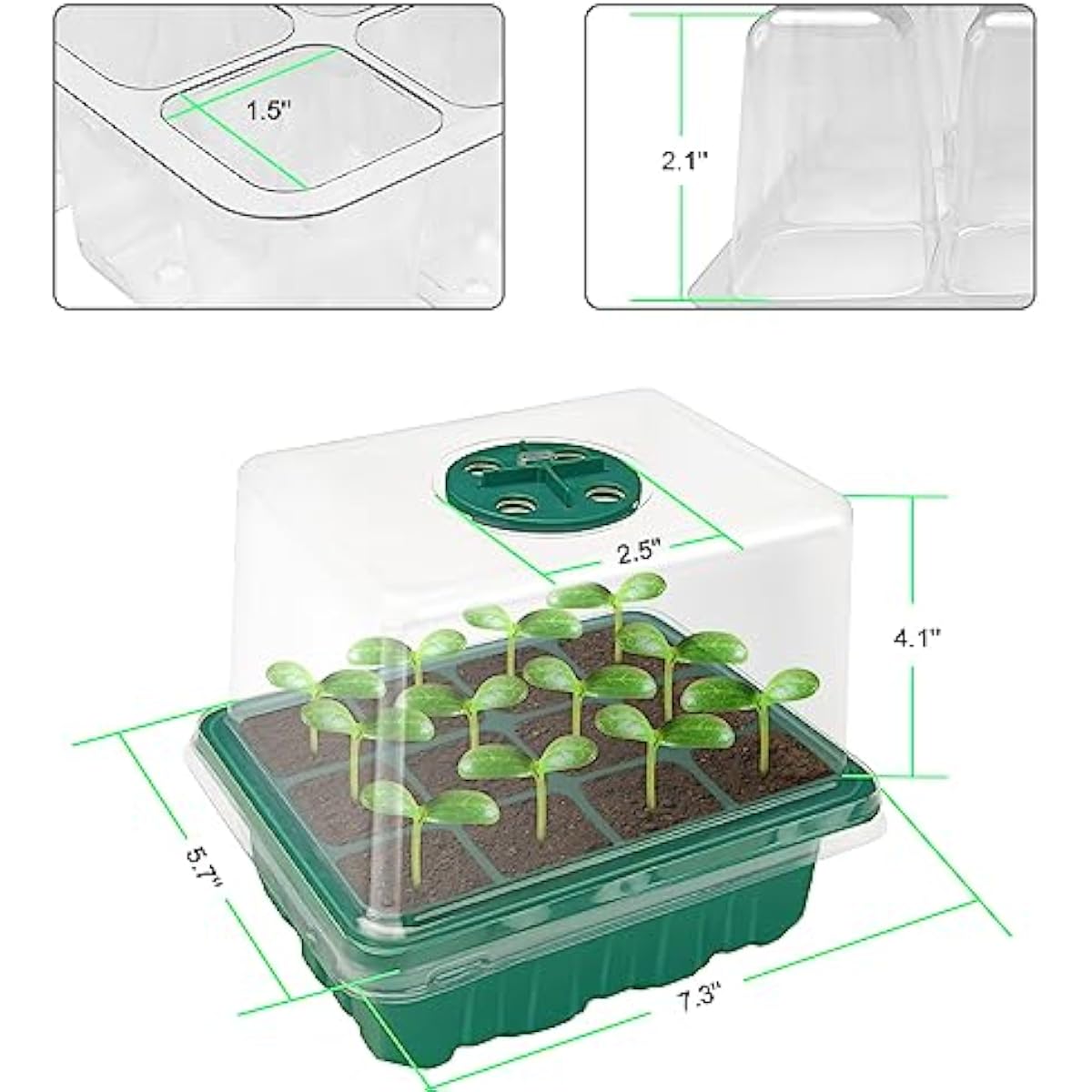 Kit per la Propagazione dei Se - Dome Propagation Kit recensione e prezzo