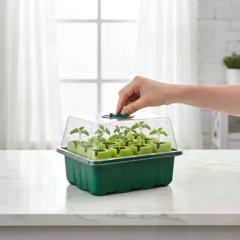 Vassoio per Semina con Cupola  - Dome Propagation Kit recensione e prezzo